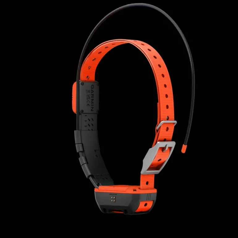 Alpha T20 GPS collar, hundhalsband, GPS - Handhållen Gps - Alpha T20 GPS collar, hundhalsband, GPS