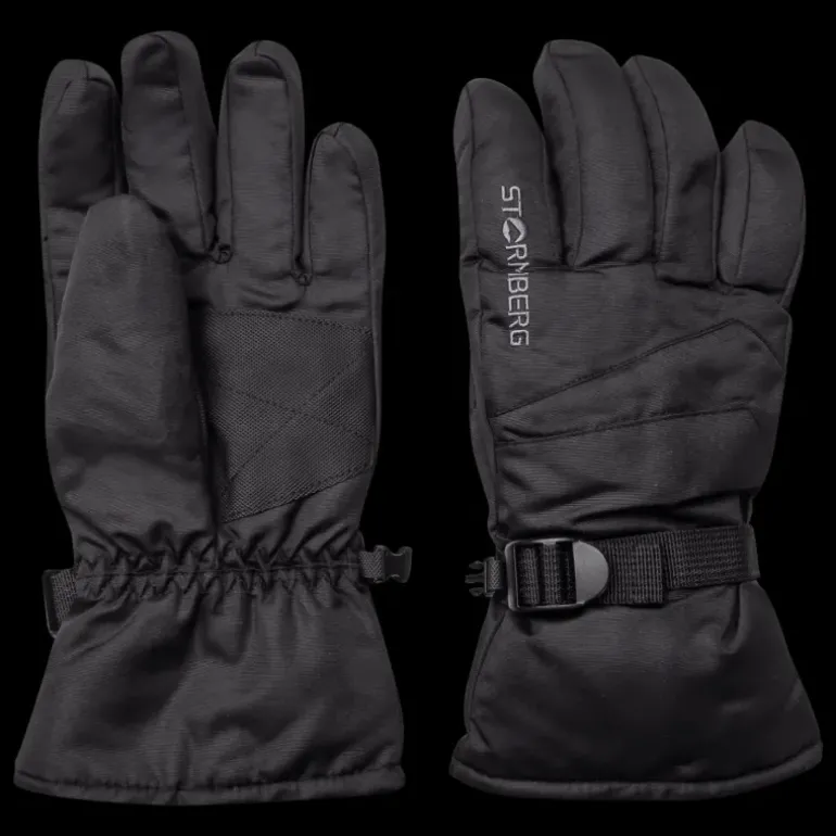 Alpine Gloves Vemdalen 24/25, skidhandske, unisex - Skidhandskar - Alpine Gloves Vemdalen 24/25, skidhandske, unisex