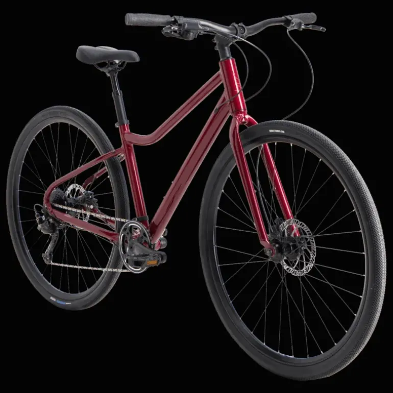 AX+ 290 ANE 24, mångsidig cykel, dam - Hybridcykel - AX+ 290 ANE 24, mångsidig cykel, dam