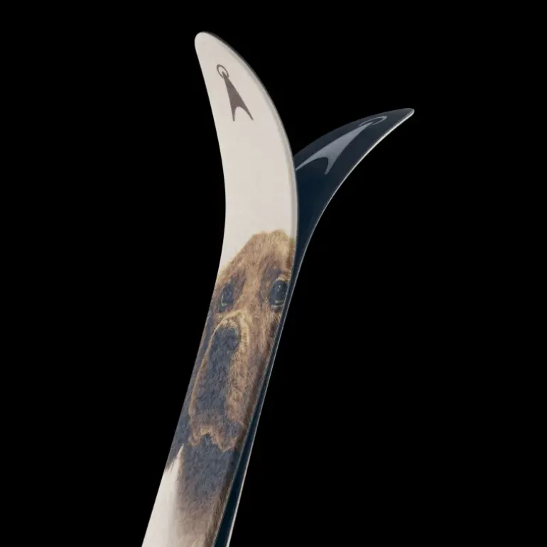 BC Skis Kongsvold Hunter 24/25, jaktskida senior - Tur - BC Skis Kongsvold Hunter 24/25, jaktskida senior