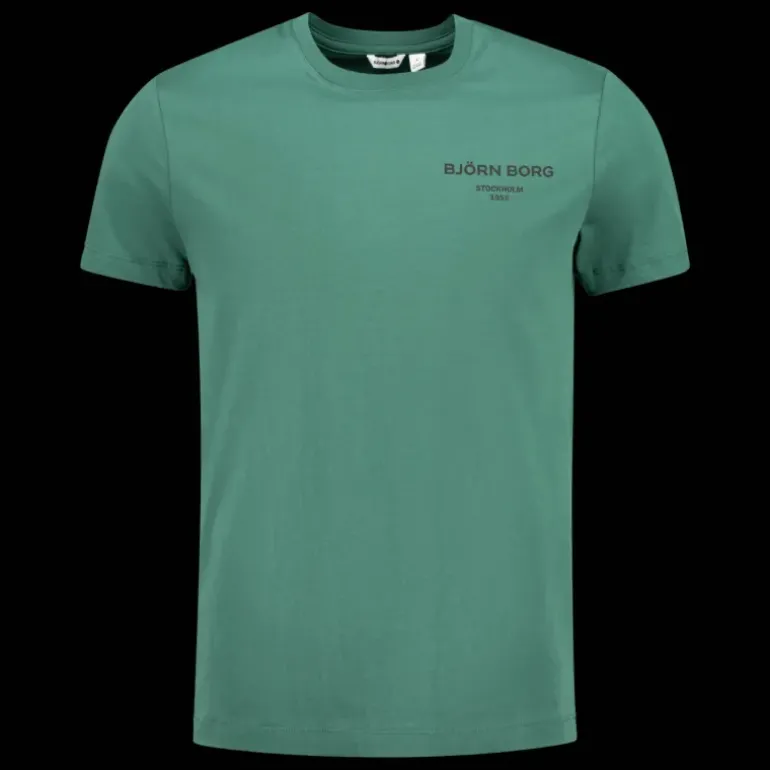 Borg Essential T-shirt, t-shirt, herr - Fritids-T-Shirt - Borg Essential T-shirt, t-shirt, herr