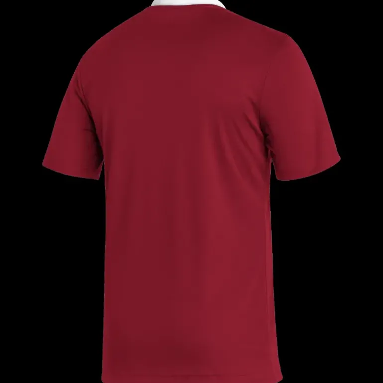 Entrada 22 Jersey t-shirt herr - T-Shirts - Entrada 22 Jersey t-shirt herr