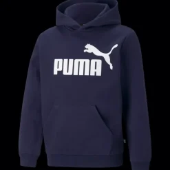 ESS Big Logo Hoodie FL B, huvtröja, junior - Fritidströjor - ESS Big Logo Hoodie FL B, huvtröja, junior