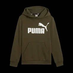 ESS Big Logo Hoodie FL B, huvtröja, junior - Fritidströjor - ESS Big Logo Hoodie FL B, huvtröja, junior