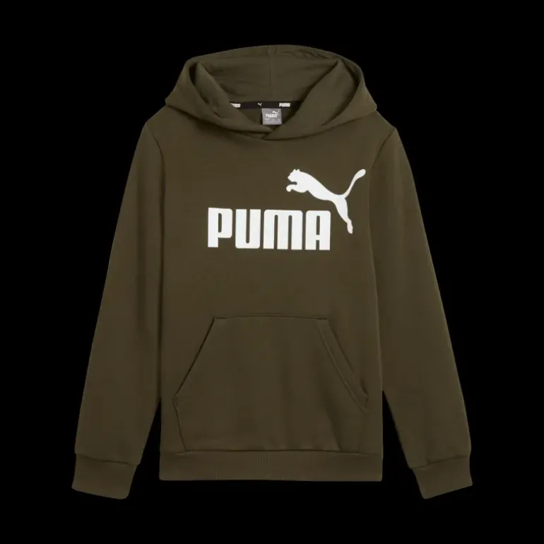 ESS Big Logo Hoodie FL B, huvtröja, junior - Fritidströjor - ESS Big Logo Hoodie FL B, huvtröja, junior