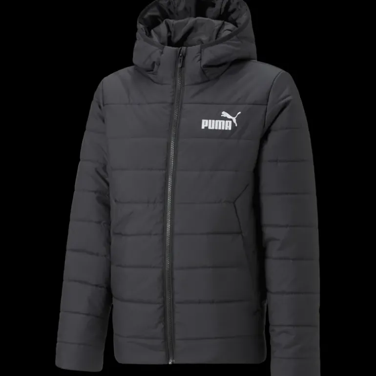 Ess Hooded Padded Jacket, isoleringsjacka junior - Fritidsjackor - Ess Hooded Padded Jacket, isoleringsjacka junior