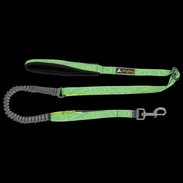 Flagstaff Adj Spring Leash Sage Bark, hundkoppel - Koppel & Halsband - Flagstaff Adj Spring Leash Sage Bark, hundkoppel