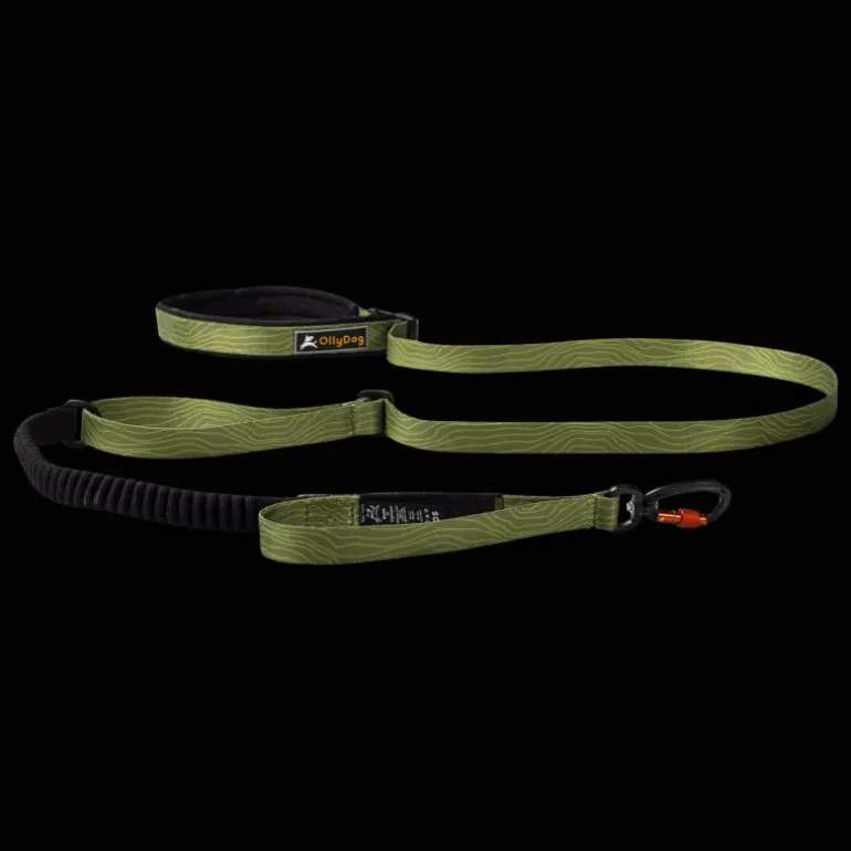 Flagstaff Adjustable Spring Leash - Koppel & Halsband - Flagstaff Adjustable Spring Leash