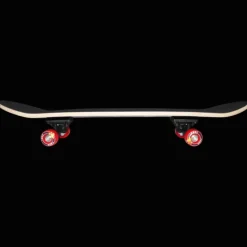 FLARE Skateboard-24/25, skateboard, nybörjare, unisex - Skateboard - FLARE Skateboard-24/25, skateboard, nybörjare, unisex