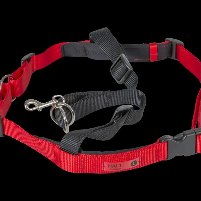 Halti Treningssele L - Koppel & Halsband - Halti Treningssele L