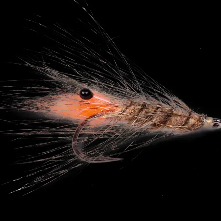 Laser Shrimp #6 - Flugor - Laser Shrimp #6