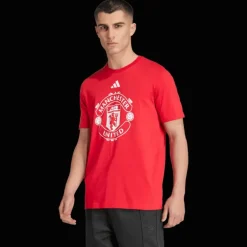Manchester United Dna Graphic Tee, t-shirt, herr - Premier League - Manchester United Dna Graphic Tee, t-shirt, herr