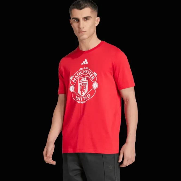 Manchester United Dna Graphic Tee, t-shirt, herr - Premier League - Manchester United Dna Graphic Tee, t-shirt, herr