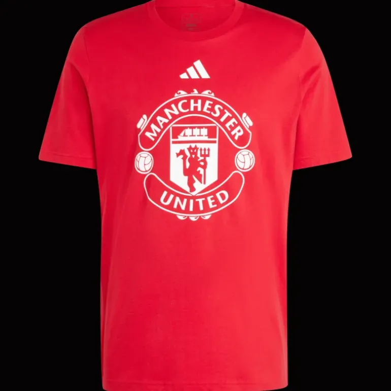 Manchester United Dna Graphic Tee, t-shirt, herr - Premier League - Manchester United Dna Graphic Tee, t-shirt, herr