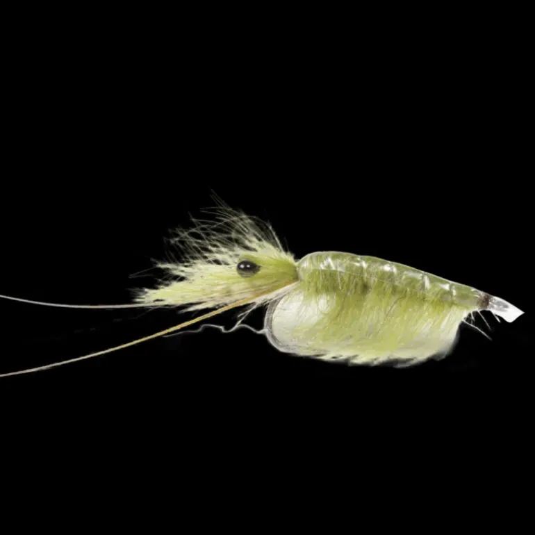 Olive CDC Shrimp #6 - Flugor - Olive CDC Shrimp #6
