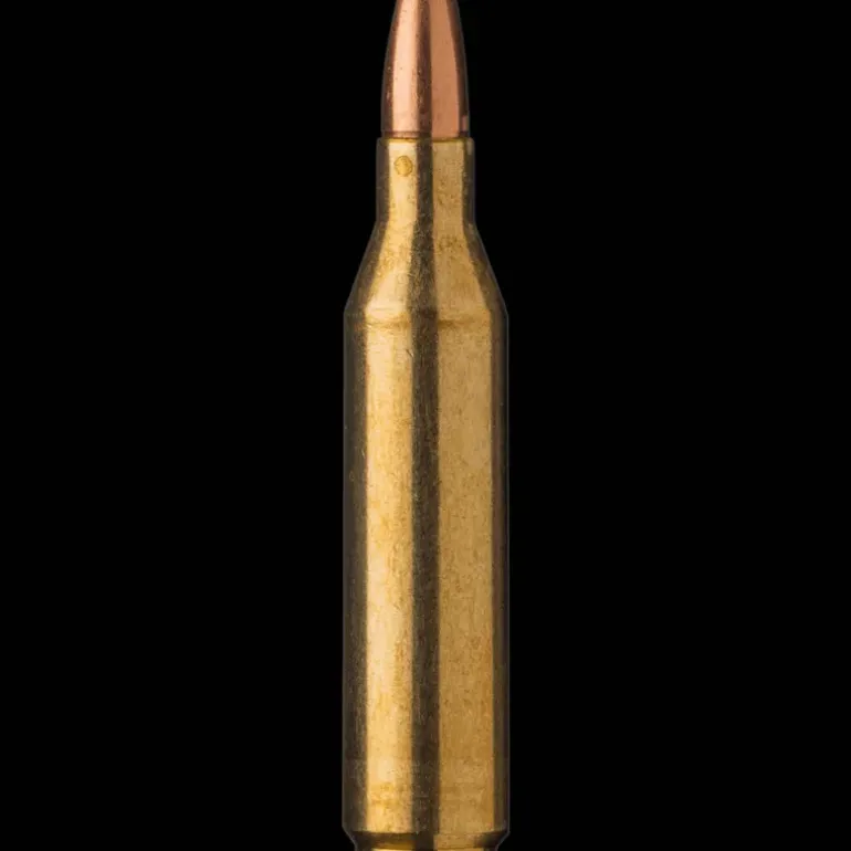 Oryx 243 Winchester 6,5g/100g, gevärsammunition - Kula - Oryx 243 Winchester 6,5g/100g, gevärsammunition