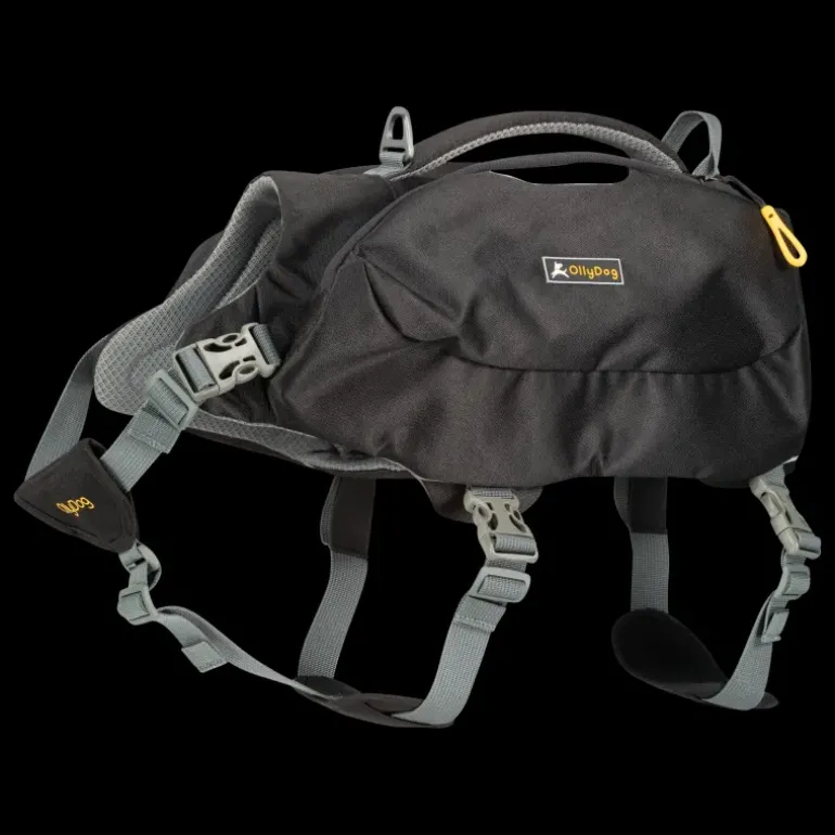 Rover Dog Pack Raven, hundryggsäck - Vård - Rover Dog Pack Raven, hundryggsäck