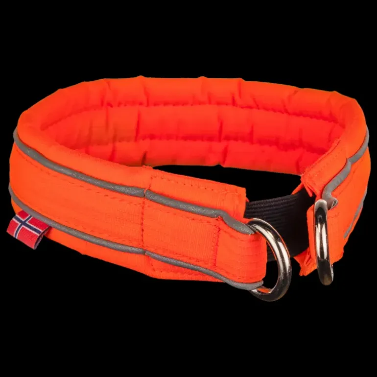 Safe, hundhalsband - Koppel & Halsband - Safe, hundhalsband
