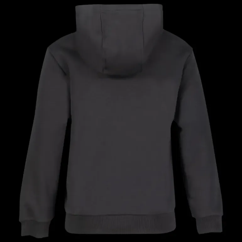 Sportswear Club Fleece, collegetröja, junior - Fritidströjor - Sportswear Club Fleece, collegetröja, junior
