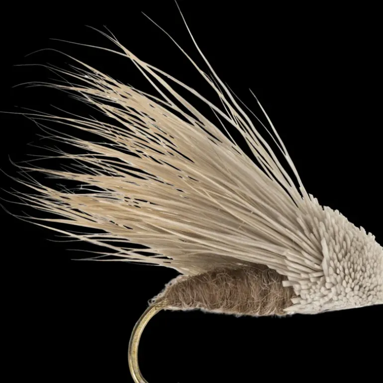 Streaking Caddis - Flugor - Streaking Caddis