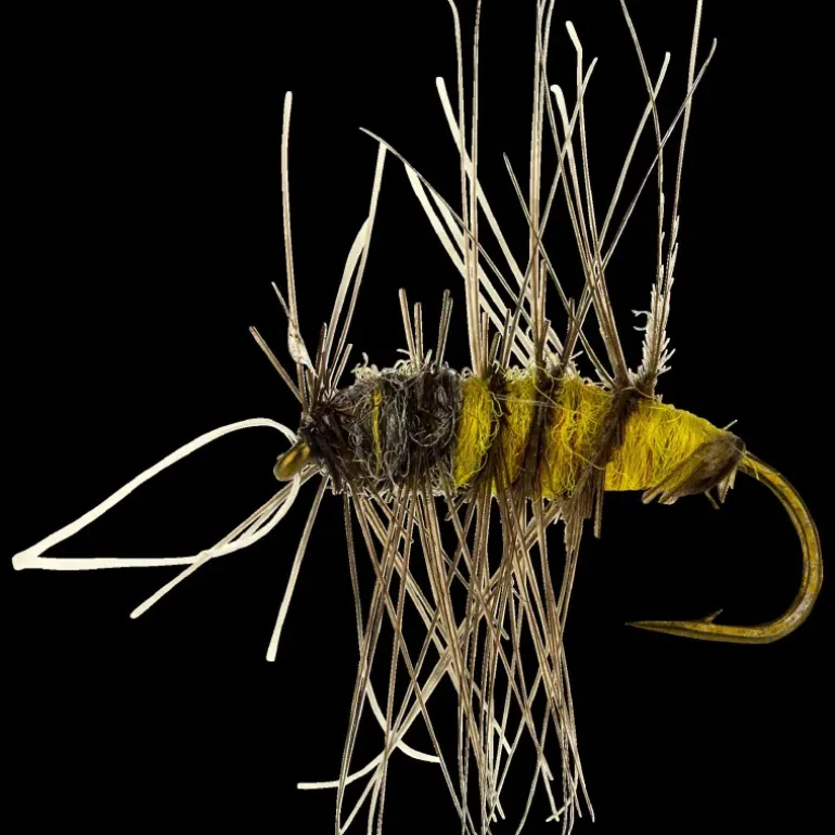 Superpuppa yellow nymph - Flugor - Superpuppa yellow nymph
