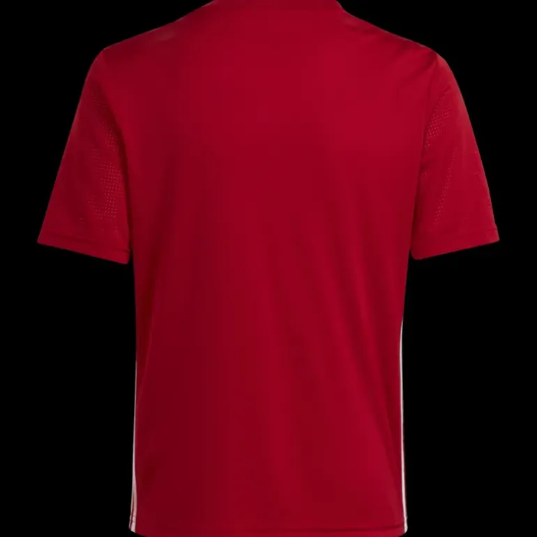 Tabela 23 Jersey, träningströja junior - T-Shirts - Tabela 23 Jersey, träningströja junior