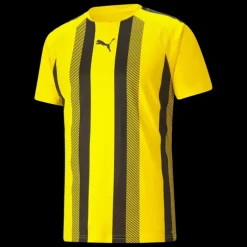 teamLIGA Striped Jersey Jr, träningströja junior - T-Shirts - teamLIGA Striped Jersey Jr, träningströja junior