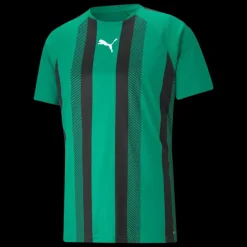 teamLIGA Striped Jersey Jr, träningströja junior - T-Shirts - teamLIGA Striped Jersey Jr, träningströja junior