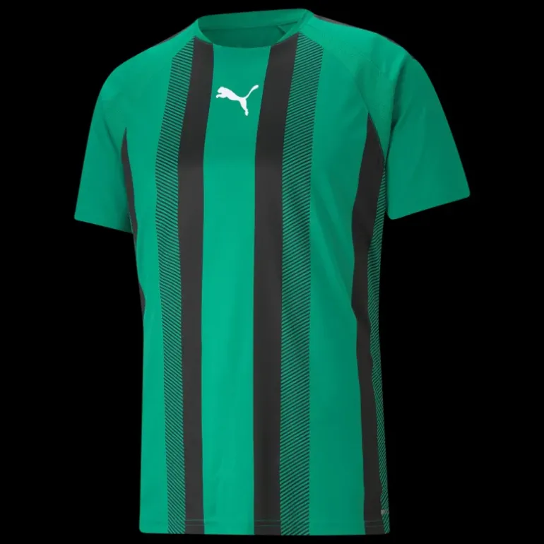 teamLIGA Striped Jersey Jr, träningströja junior - T-Shirts - teamLIGA Striped Jersey Jr, träningströja junior