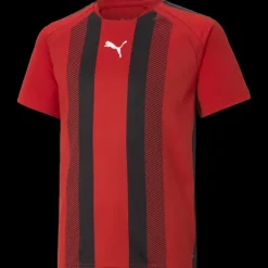 teamLIGA Striped Jersey Jr, träningströja junior - T-Shirts - teamLIGA Striped Jersey Jr, träningströja junior