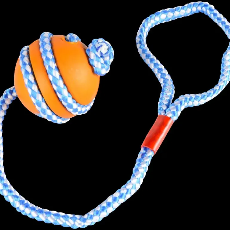Toy Ball With Rope - Lek & Träning - Toy Ball With Rope