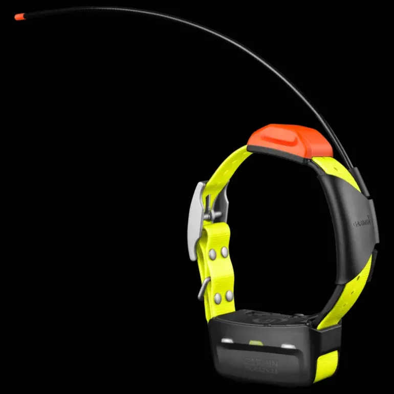 T5x Gps Collar, Nordic, Gps-halsband - Handhållen Gps - T5x Gps Collar, Nordic, Gps-halsband