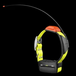 T5x Gps Collar, Nordic, Gps-halsband - Handhållen Gps - T5x Gps Collar, Nordic, Gps-halsband